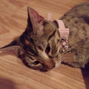 Meet your Posher, Aiden